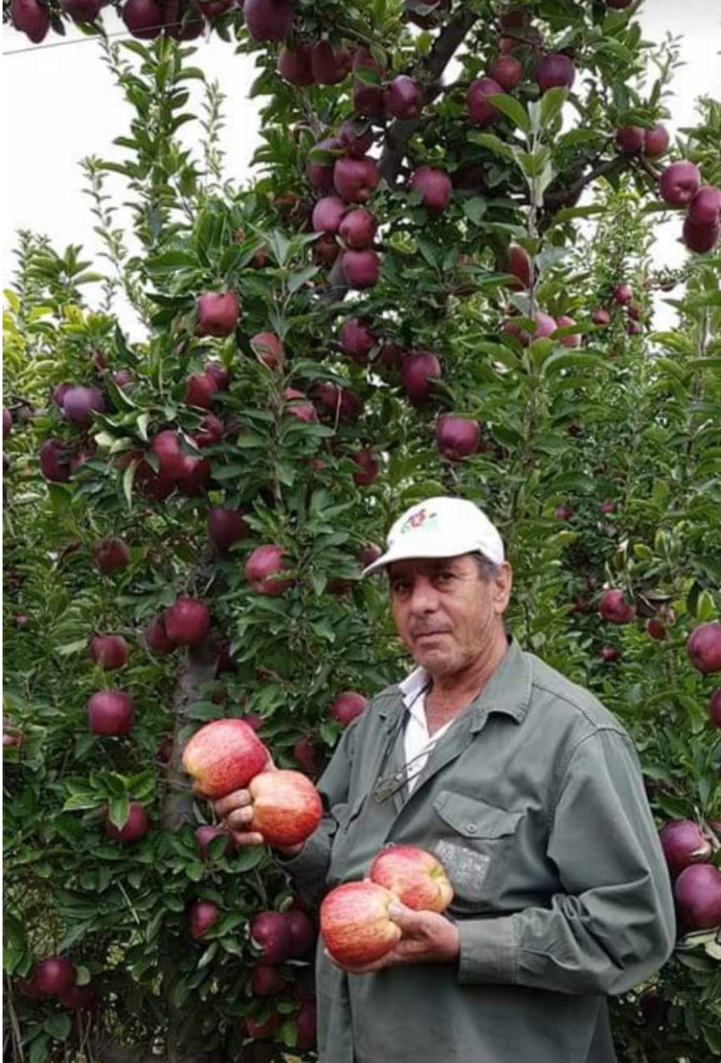 productor Horacio Vicci