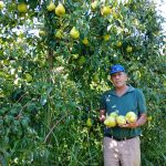 Horacio Enzo Vicci productor fruticola.