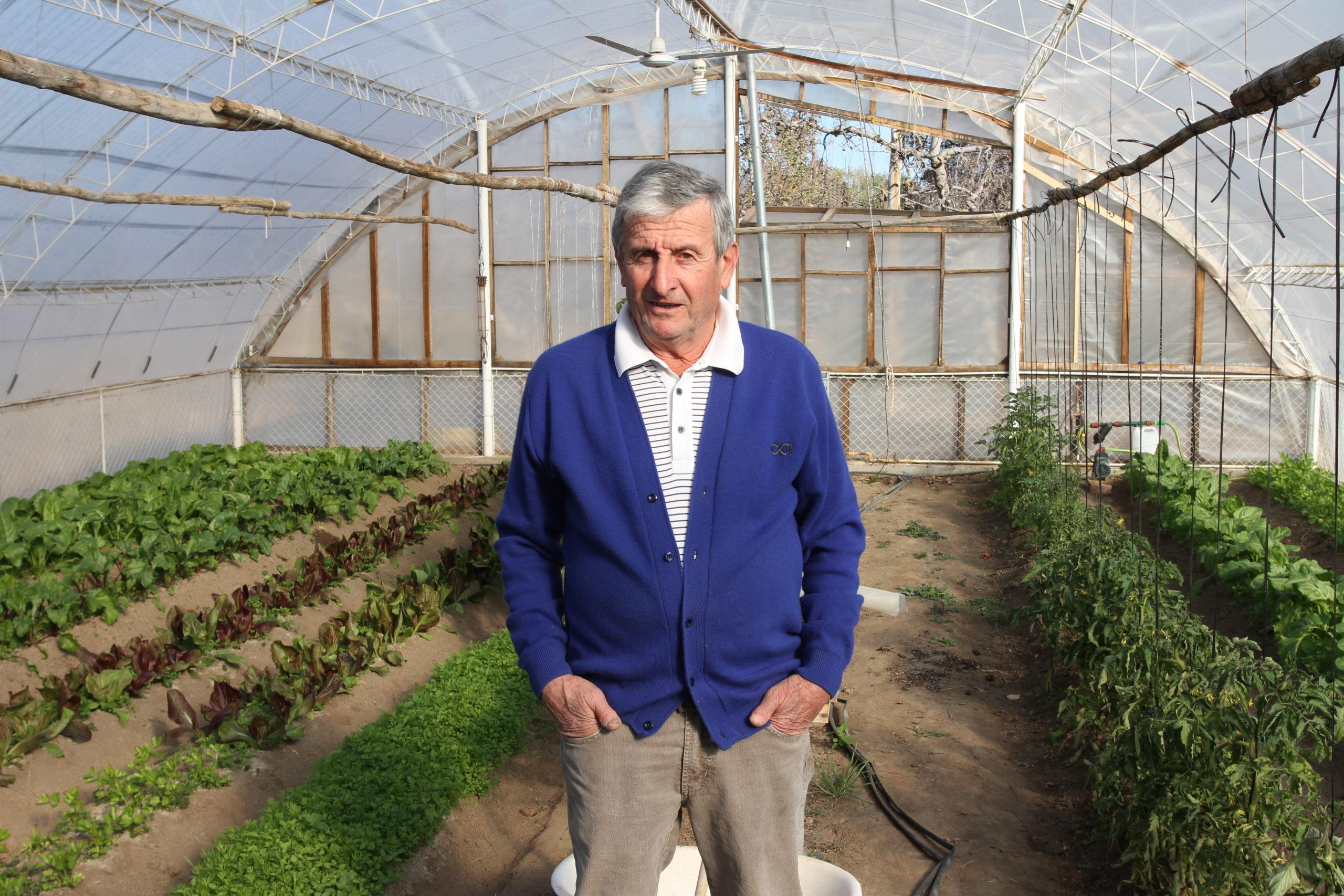 Productor Guillermo Colino